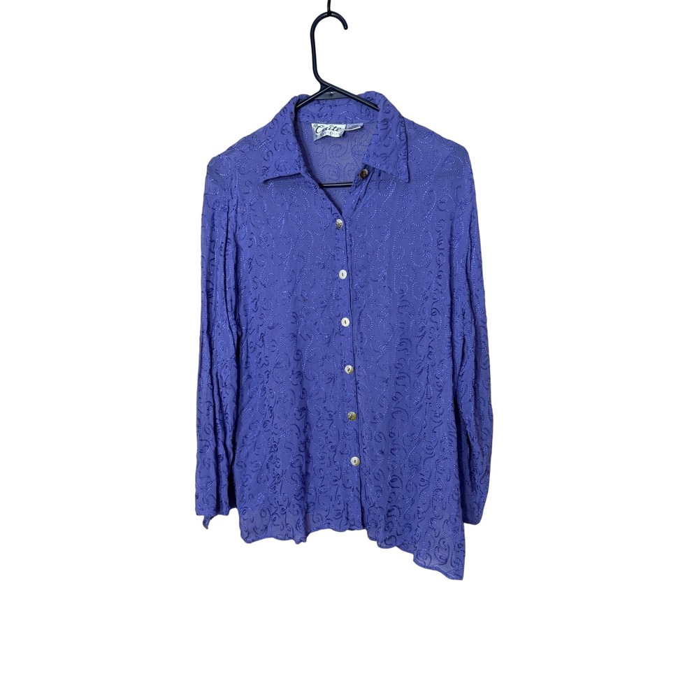 Caite Women Petite 16WP Purple Embroidered Paisley Button Front Blouse Rayon